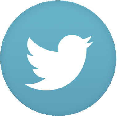 Twitter Link